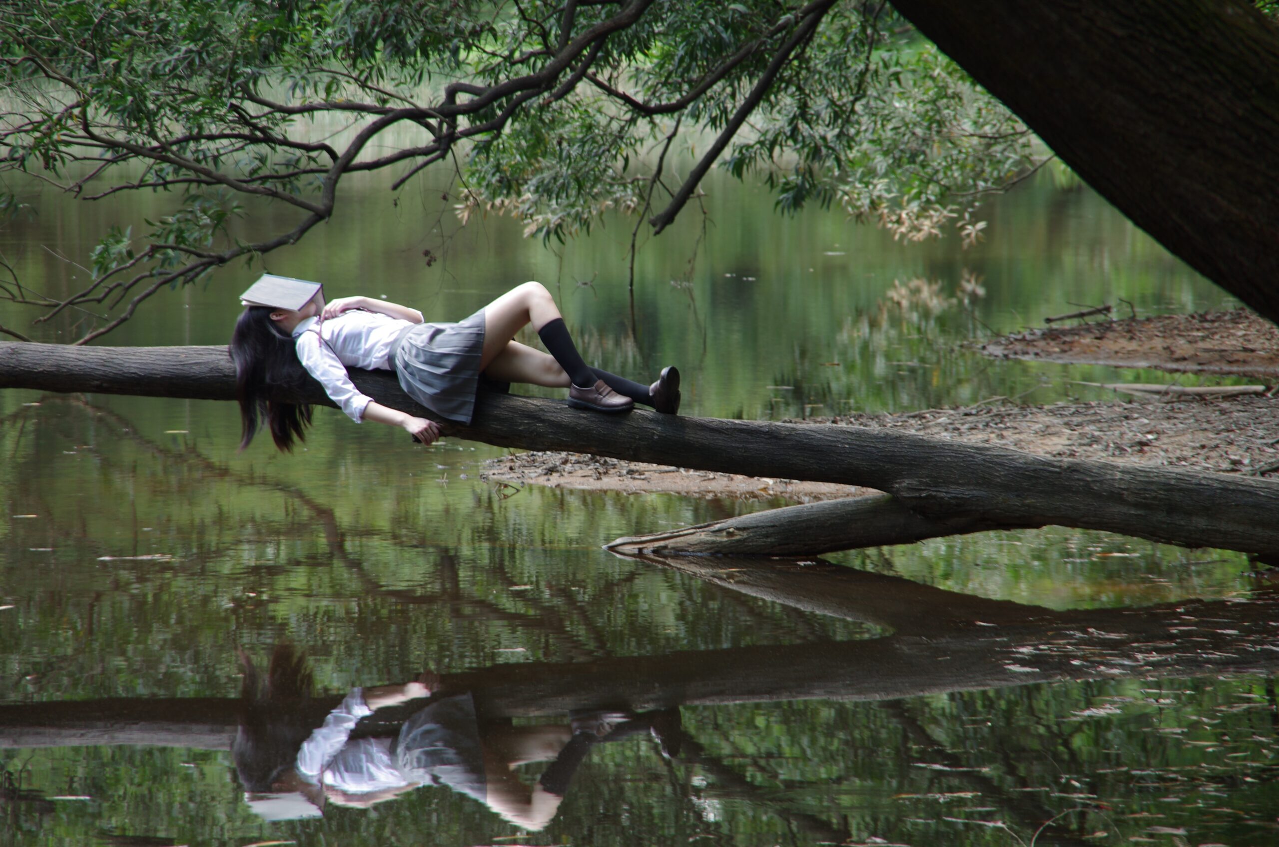 やる気が起きない寝てばかりいる女子高生が木の上で寝ている画像