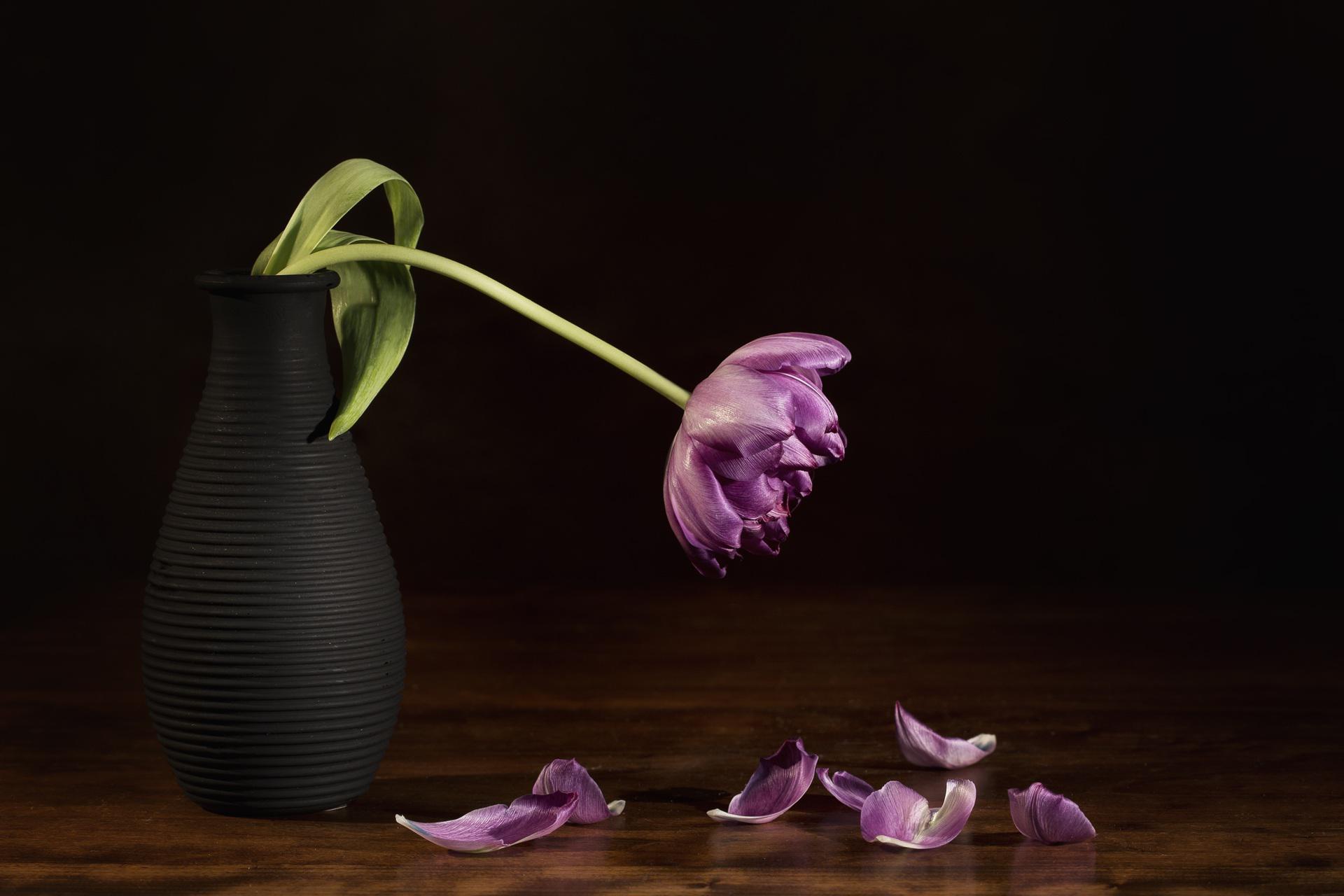 花瓶に入った花が枯れている画像