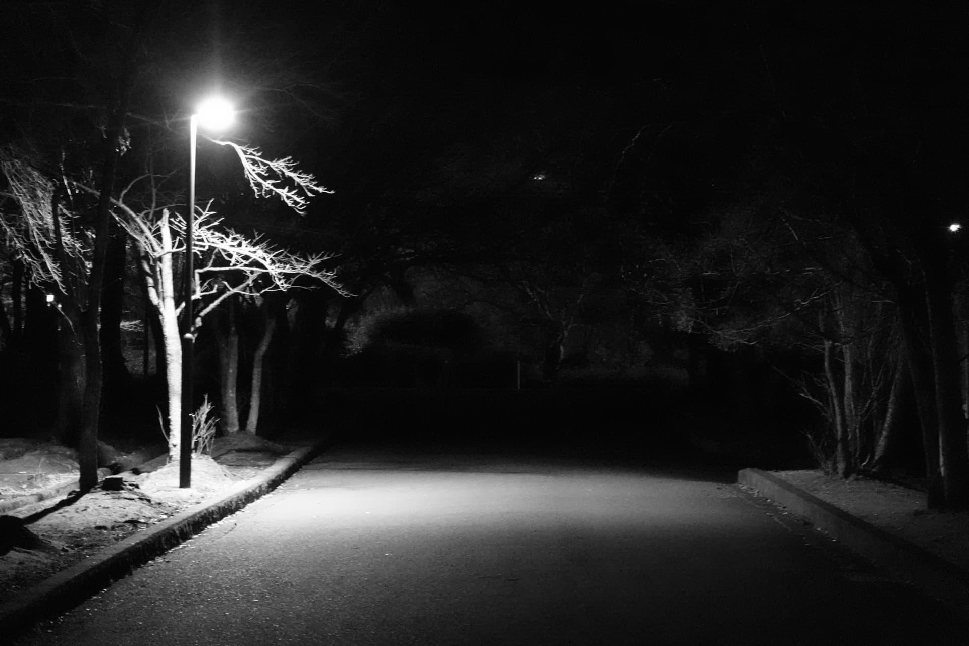 神社に行くときに通る夜の公園の道の画像